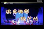 上海的声音沪剧演唱会下载
