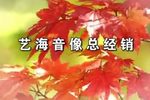 尼姑妈妈