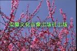 半把剪刀 1