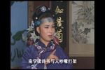 红楼梦第四集
