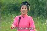 朱洪武斩婿下载