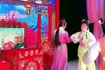 秦雪梅观画 5下载