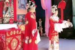 三请余凤英第二本 5下载