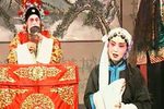 皮氏女三告下载