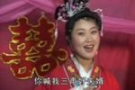 十二陪送 4