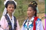 樊梨花 上集下载