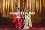 樊梨花诉堂 选段下载