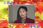 小苦柳 全集下载
