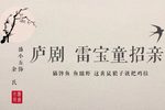 雷宝童招亲下载
