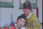 杨家将 四郎探母 4