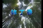 休丁香 全集下载