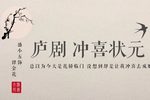 冲喜状元下载