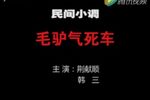 毛驴气死车