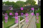 包公嫁女 全集下载