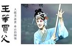 王华买父下载