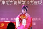 巢湖市庐剧演唱会完整版下载