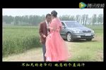 风流四大浪 全集