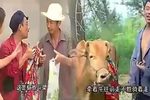 二子上学 下集