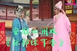张郎休丁香 全集