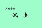 试妻下载