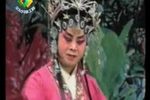 赵美容观灯 1下载