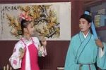 癞蛤蟆想吃天鹅下载