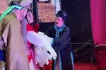 秦雪梅 6下载
