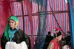 皮氏女三告 6下载