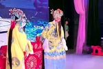 打金枝 4下载