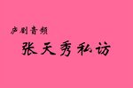 张天秀私访 选段下载