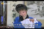 真假国舅下载