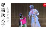 狸猫换太子下载