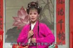 借种