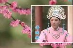 苦孩子认父 全集下载