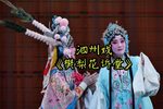 樊梨花诉堂 选段