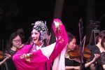 庐剧经典唱段交响音乐会