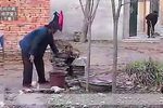 婆婆和儿媳