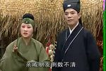 珍珠塔 全集下载