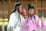 苦菜花第二集