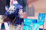 王三姐 5下载