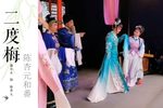 二度梅下载