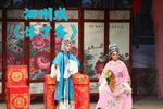 休丁香 全集下载