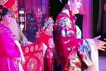 打金枝 3下载