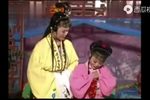 二度梅下载
