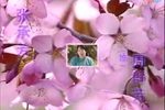 童养媳 全集下载