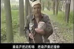 三个傻子赶大会