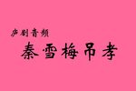 秦雪梅吊孝 中集