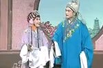 休丁香下载