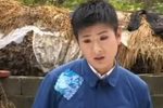 呆瓜相亲 全集
