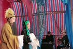 皮氏女三告 2下载
